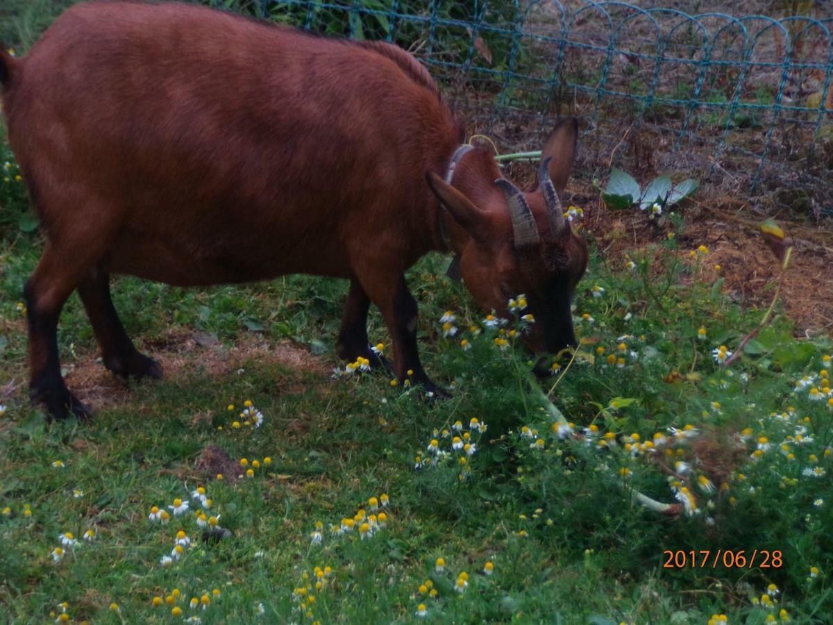 Camping du Creulet Crouay Extérieur photo
